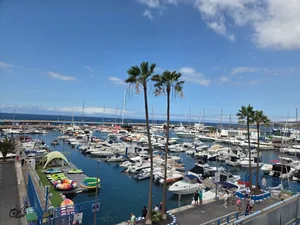 Barcos y palmeras en el puerto deportivo de Puerto Colón, en Costa Adeje.