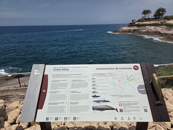 Panel informativo sobre avistamiento de cetáceos en Costa Adeje con el océano y la costa rocosa al fondo.