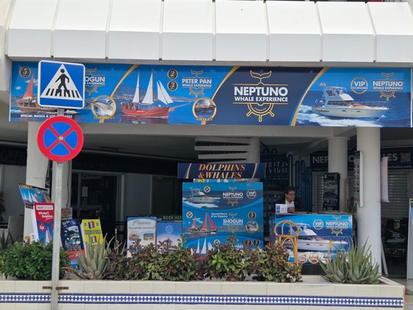 Mostrador y carteles de excursiones para ver delfines y ballenas de Neptuno Whale Experience en Costa Adeje.